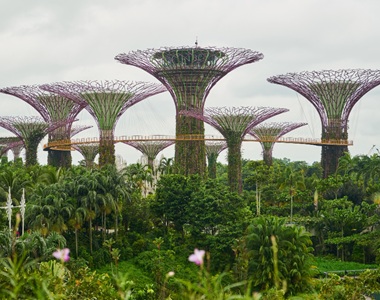 Singapore Private Tour with a Local Guide